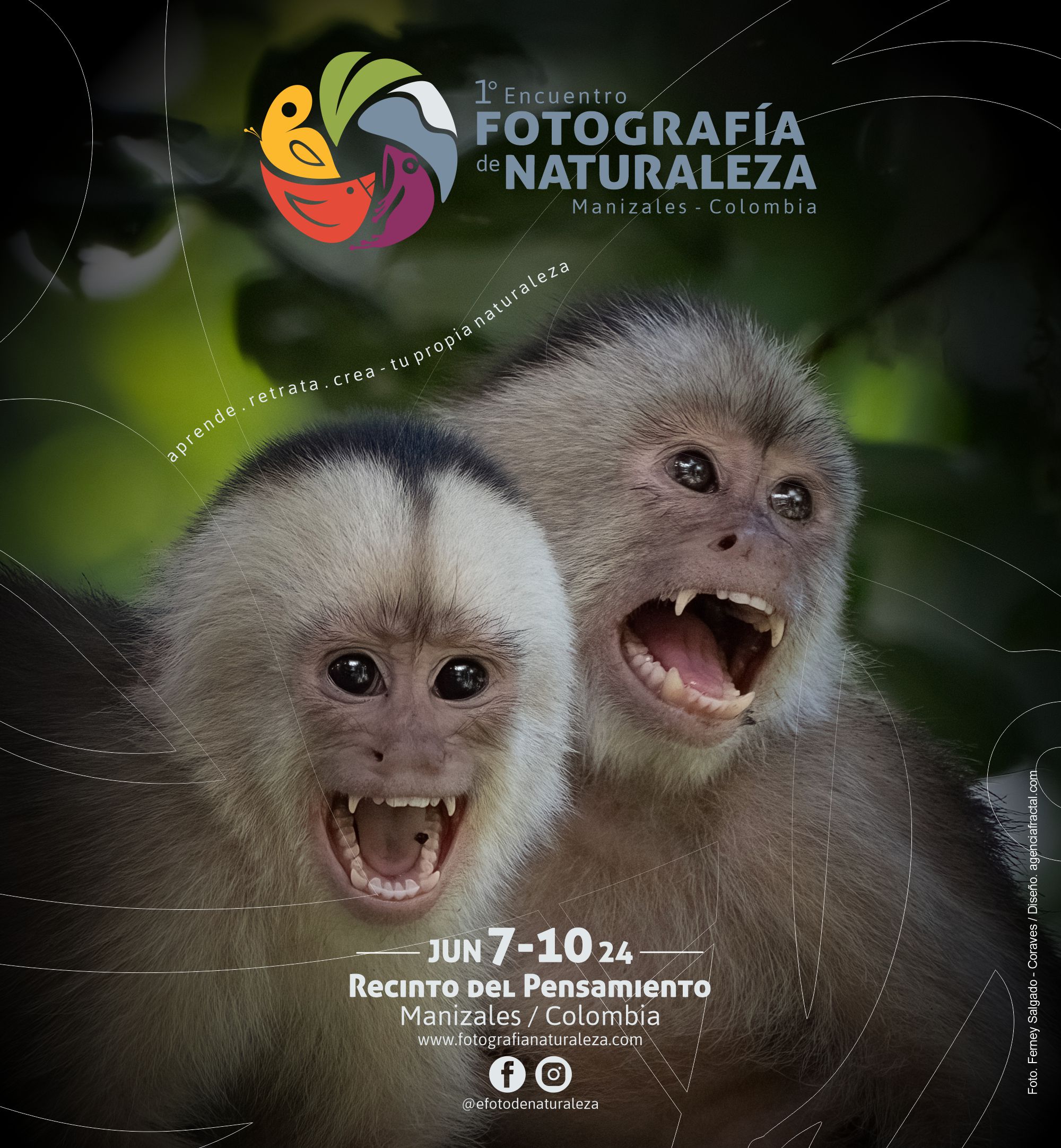 Banner EFN (monos) 01a Banner EFN (monos) 01a