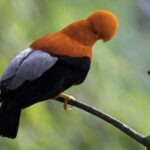 Foto Naturaleza 01