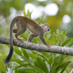 Foto Naturaleza 05