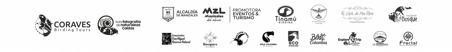 Franja logos 2EFN (completa) Franja logos 2EFN (completa)