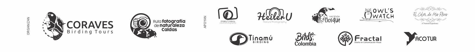 Franja logos EFN 02 Franja logos EFN 02