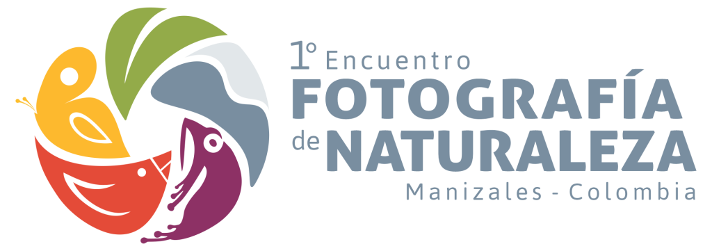 Logo 1EFN (hor-sinbg)